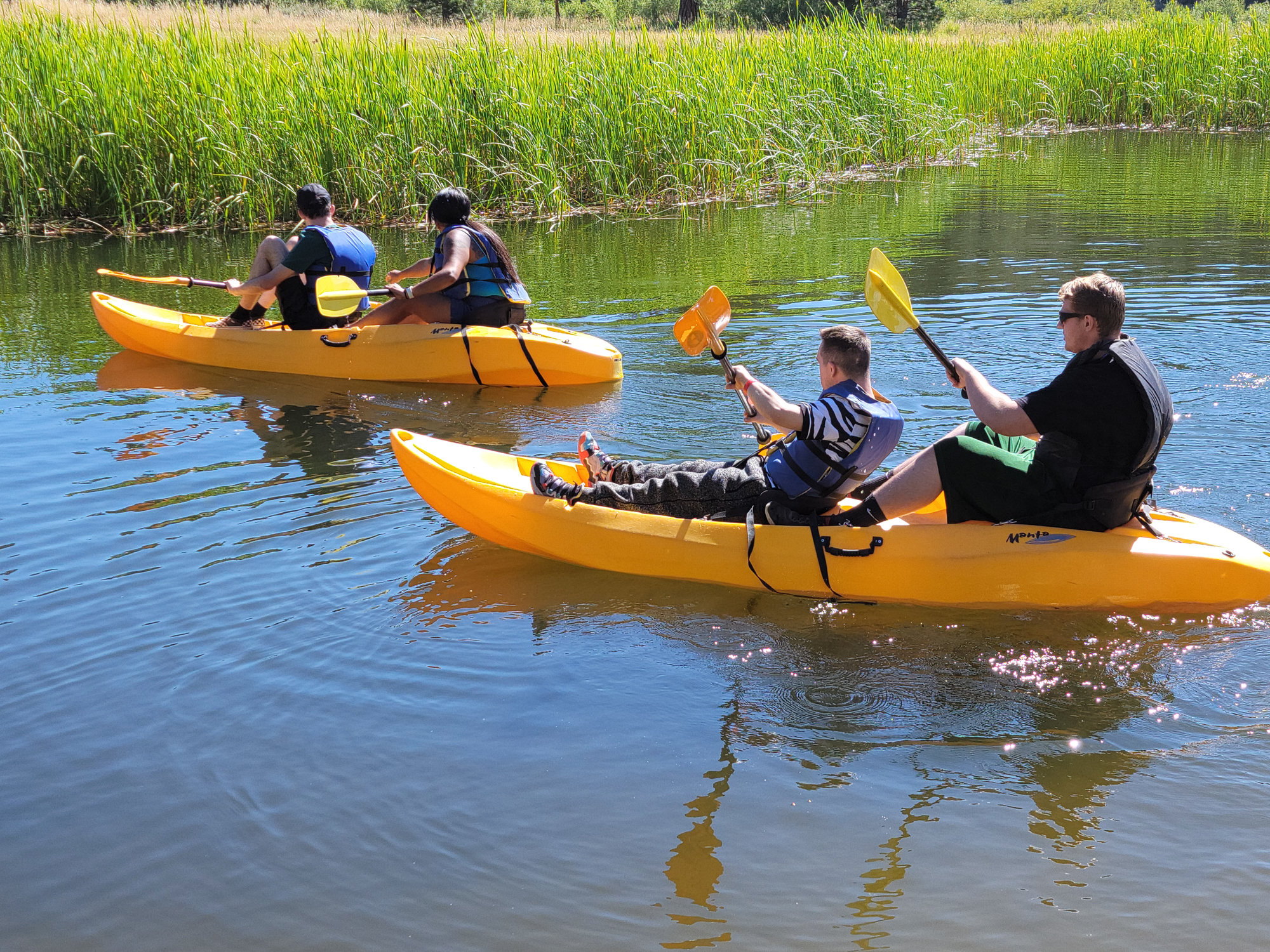 Campers paddling yellow kayaks