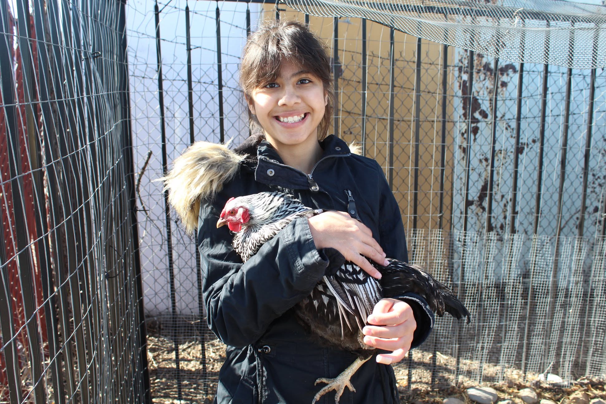 Participant holding a farm animal at Amplify the Farm